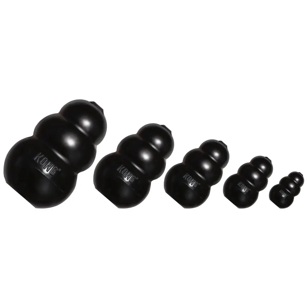 KONG Extreme range.webp
