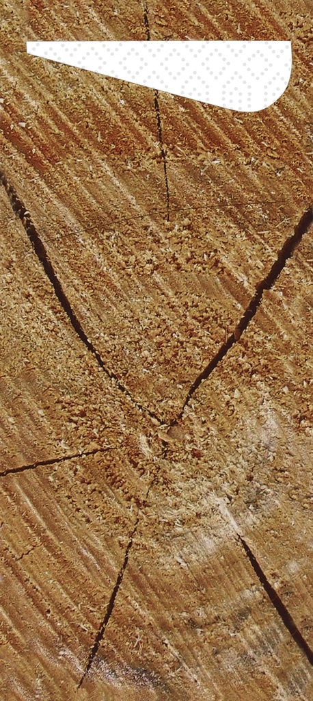 Duni Sacchetto®,bestekzakjes met servet, tissue 8,5 x 19 cm wood, 500 St/Doos (5 x 100 St)